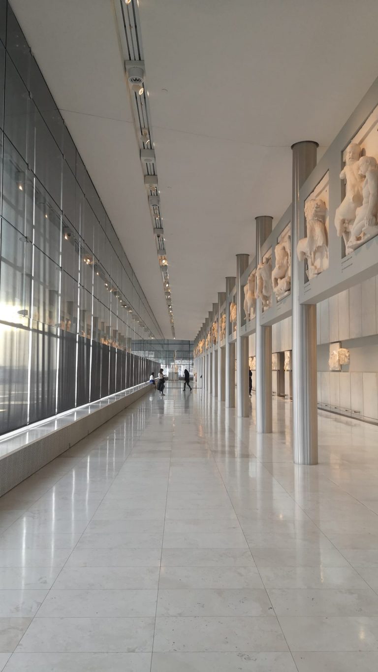 museo 6