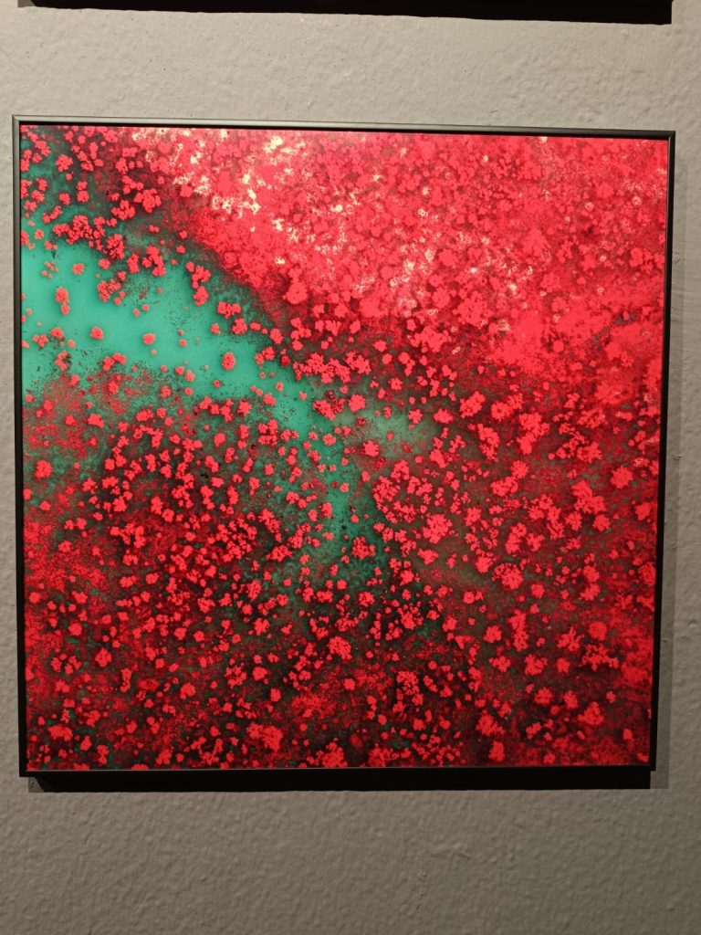 407336740_313924811525073_2506344523307600782_n