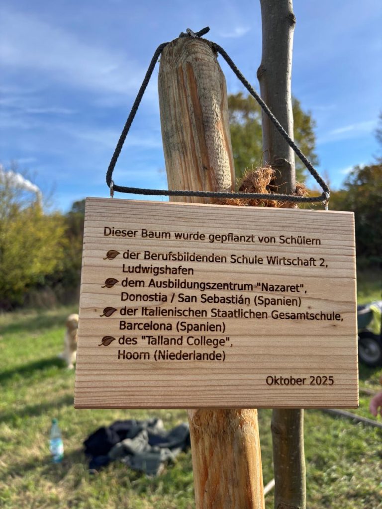 0247d6e6-b938-424b-b84f-40aa2b45abd3