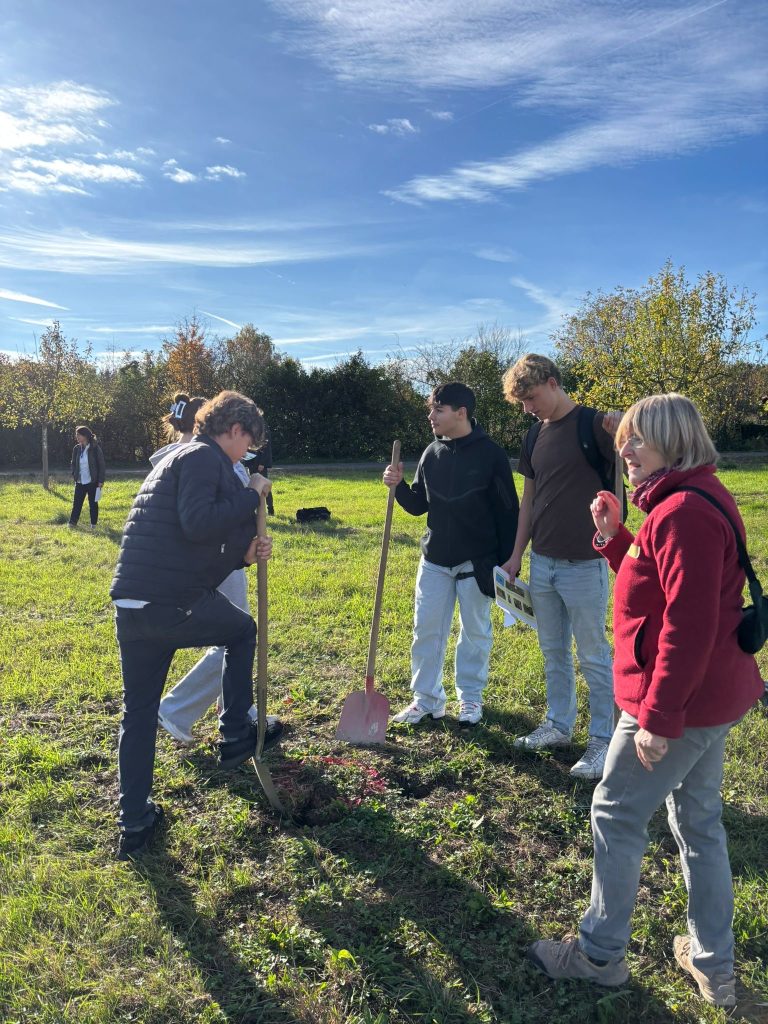 284a3735-eb68-47a8-88f6-1ab987133dfc