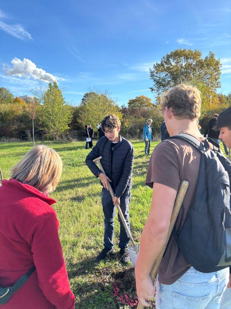 42f295c6-c718-40b9-880f-a0196d08c8af