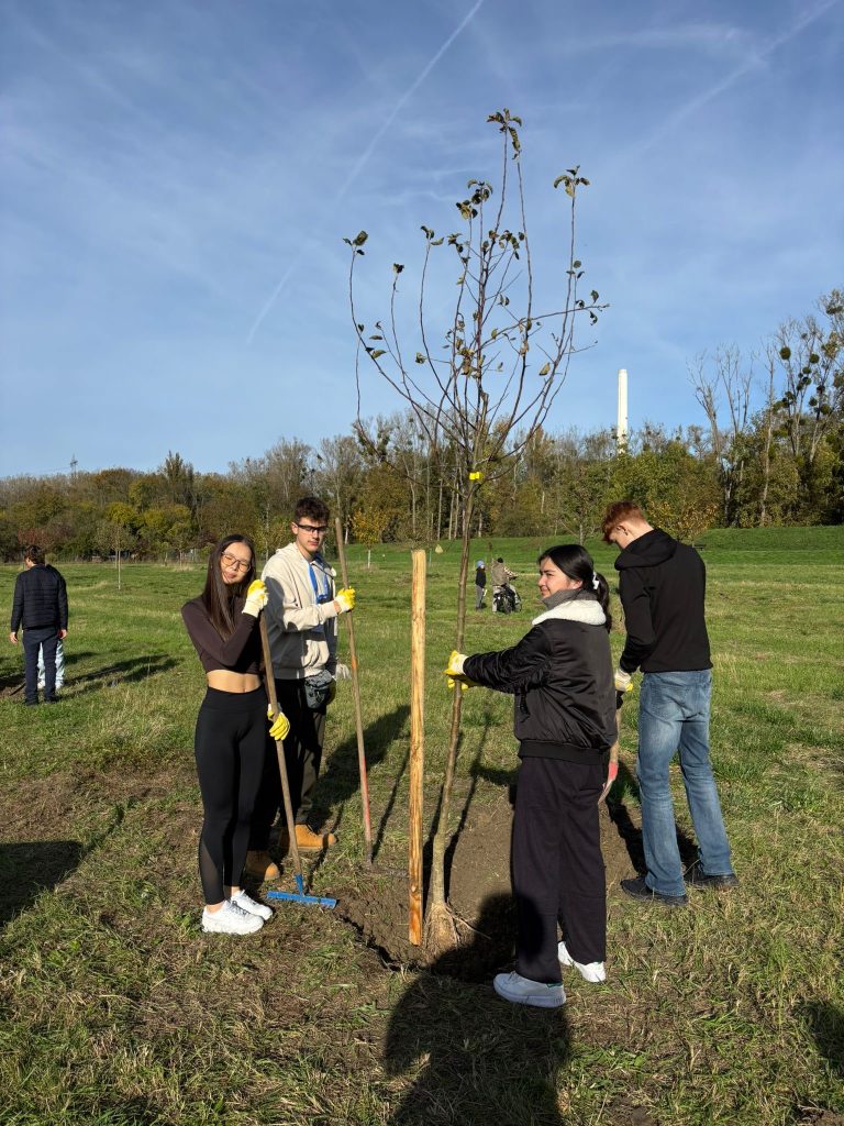 4e702447-f2c2-49b4-96e5-bc8206b6e11b