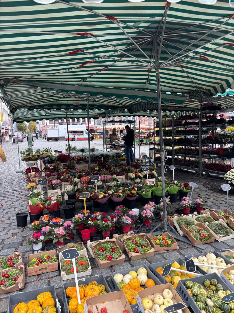 6c0501ae-d566-48e2-8b25-a760bfd2d7bb