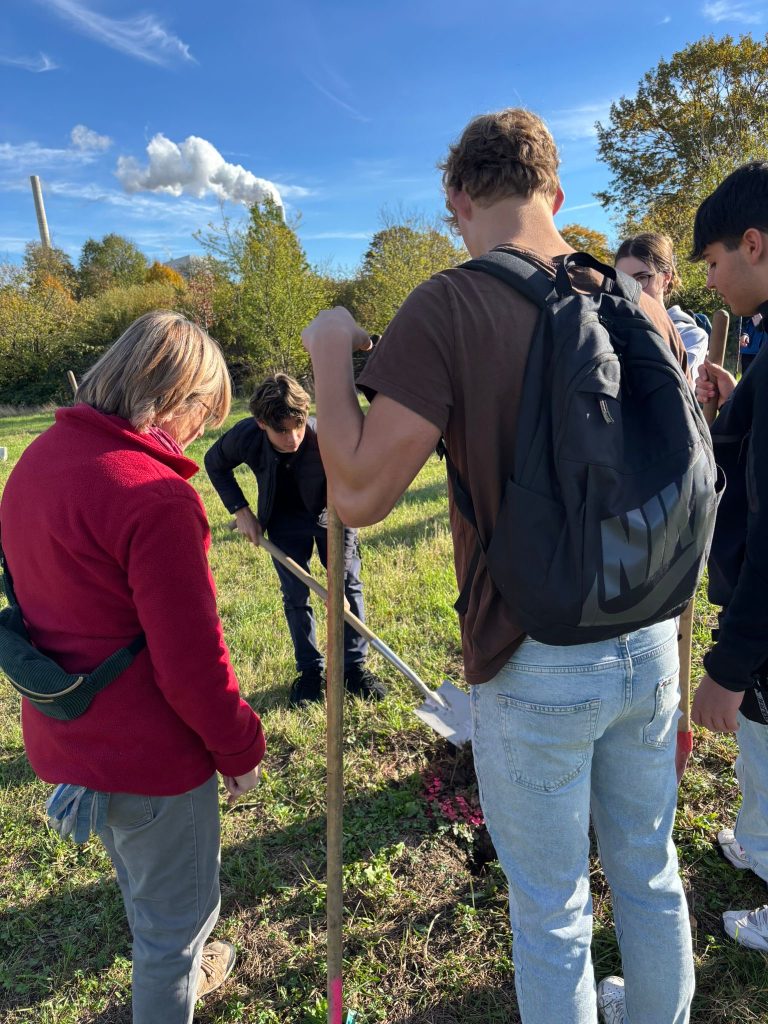 79bf91db-aeb8-4dff-bcb4-d58145518c52