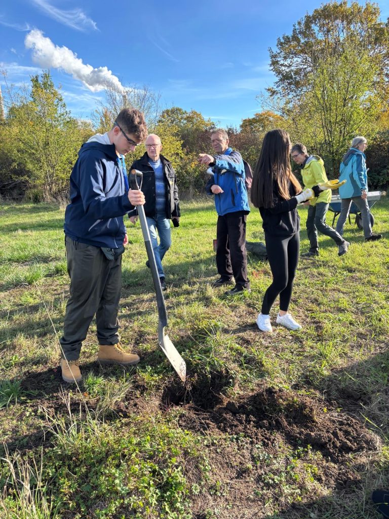 d3a55ac1-13dd-402f-b7bf-6fa4197a1b49