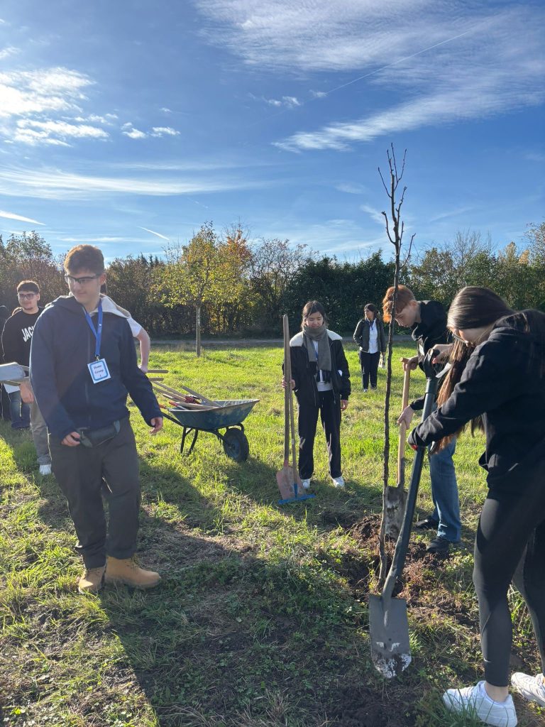 ec6d8b59-0f82-4095-9302-47acd10bae87