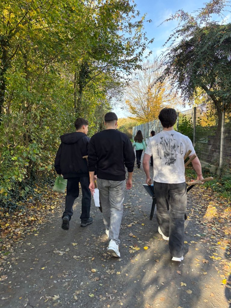 ee8adb0d-4d75-4ee5-becc-ef429ba49768