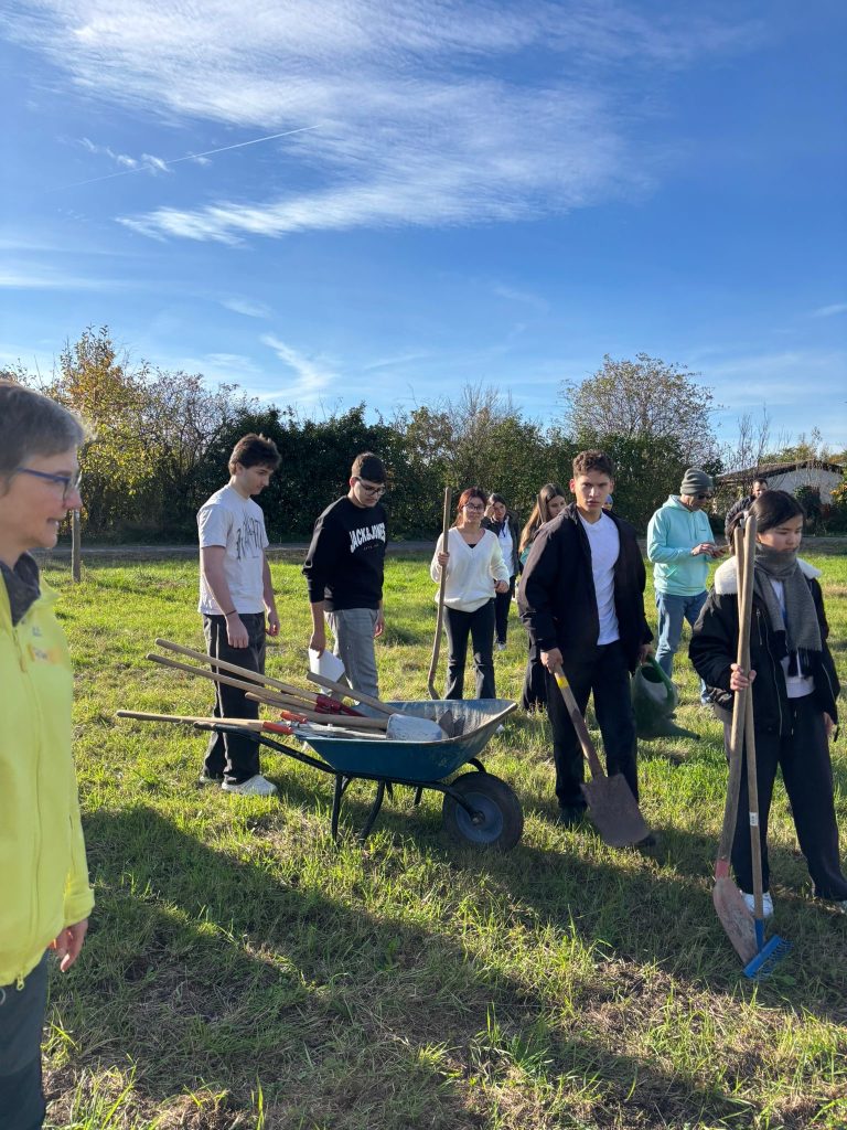 fbd474ac-27c4-41f3-8553-19b943341cd2